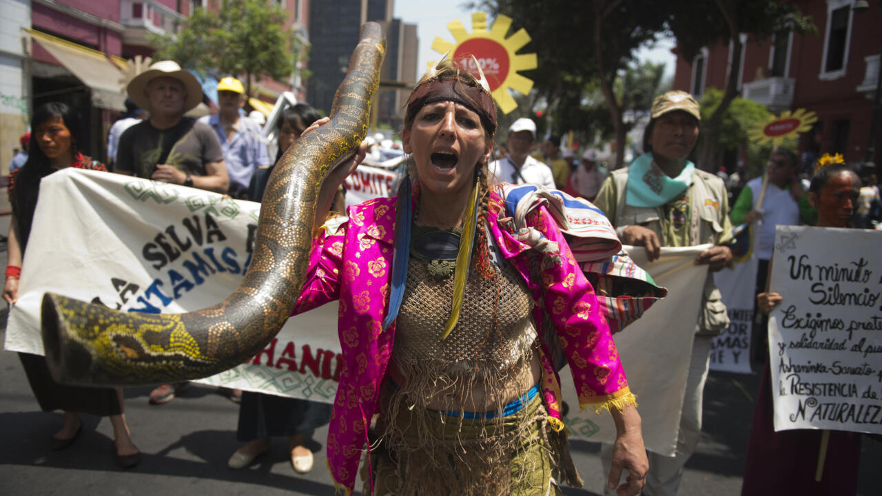 Thousands march in Peru for climate talks progress